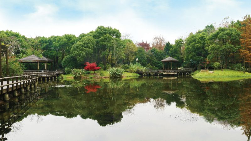 选择花卉租摆公司时，首先要关注其资质与实力。一家专业公司应具备以下条件：