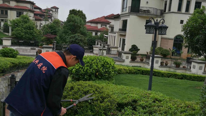上海苗木种植工期解析：影响因素与实际案例**