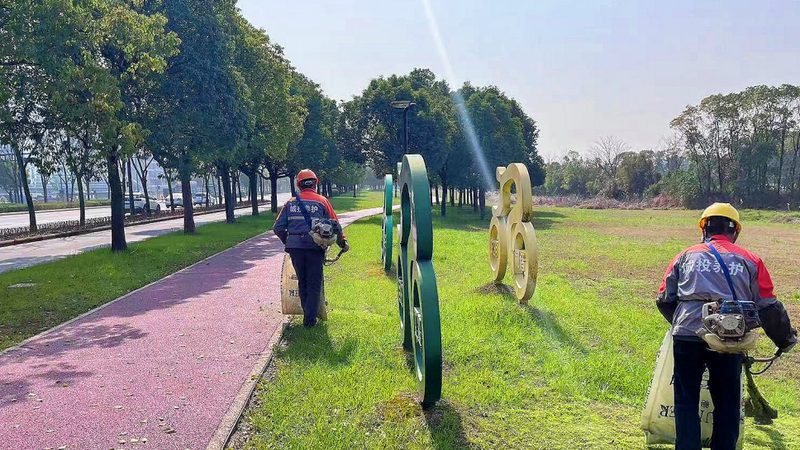 高速公路边坡绿化预算报价解析：关键因素与合理评估**