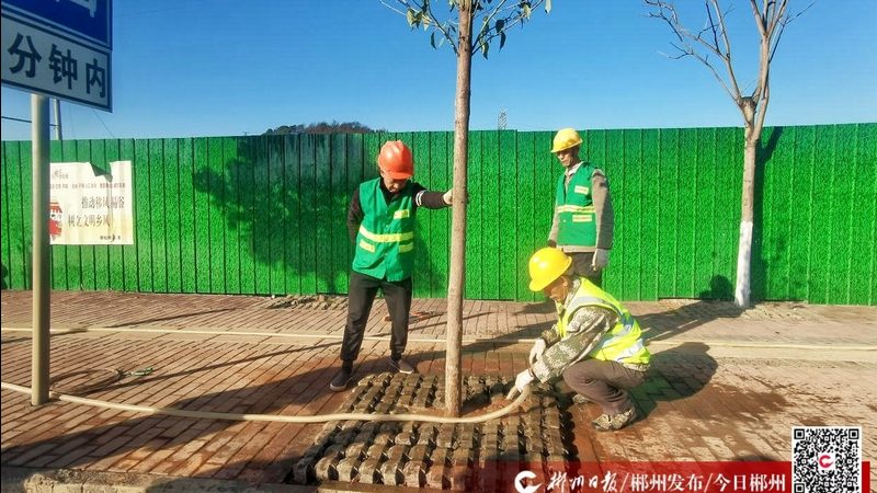 假山鱼池从设计到落地，这五个环节最容易出问题