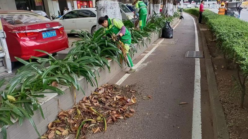 绿化竣工验收资料清单，这些关键文件你了解吗？**