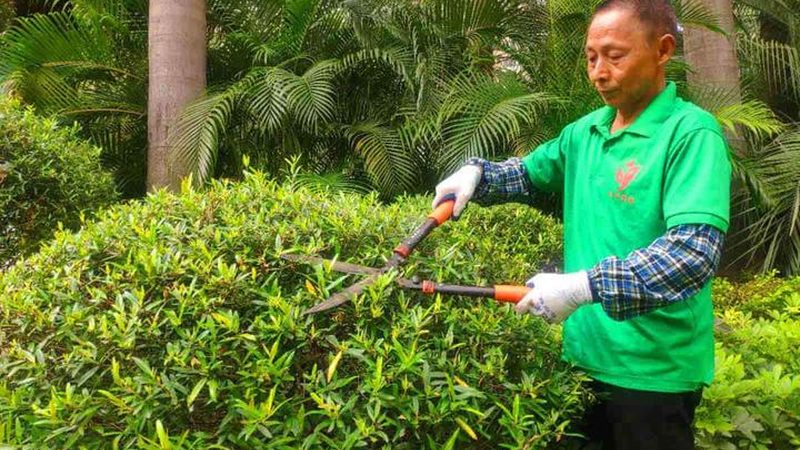 成都园林绿化工程验收规范：标准解读与执行要点