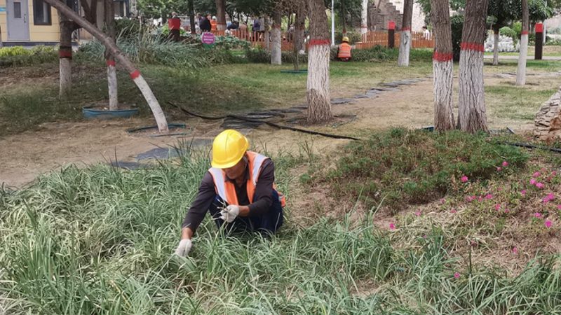庭院设计代理加盟：看起来很美，做起来很险