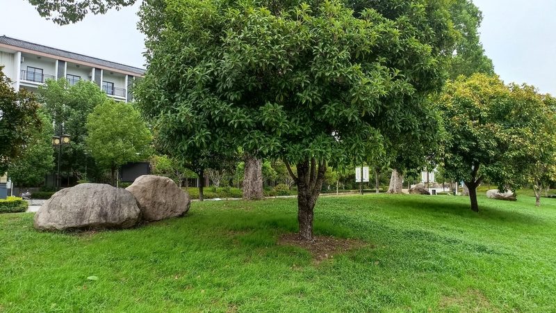 边坡防护三维网：揭秘其规格型号与关键特性**