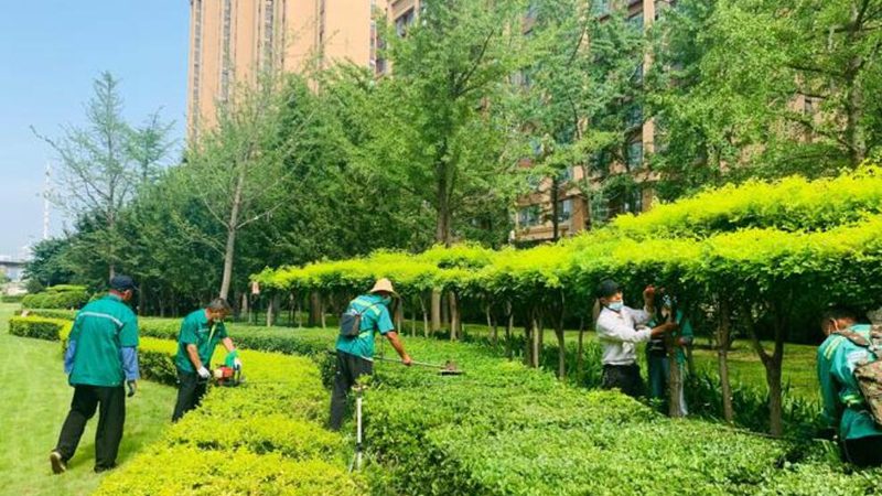 别墅花园设计效果图：材质搭配的艺术与科学