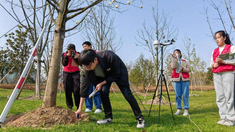 园林绿化土建工程验收规范：标准解读与验收要点